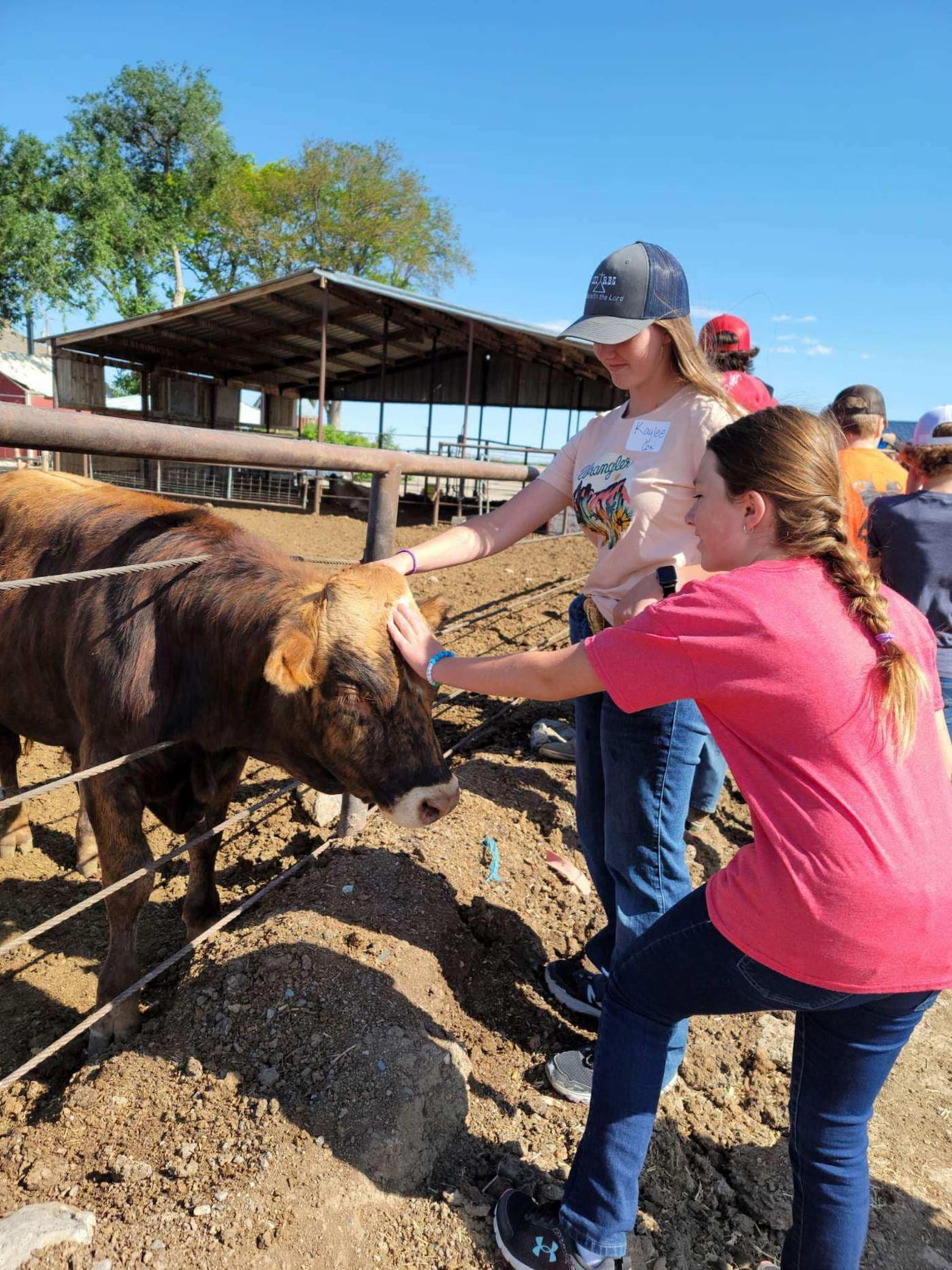 What is the Summer Ag Academy?