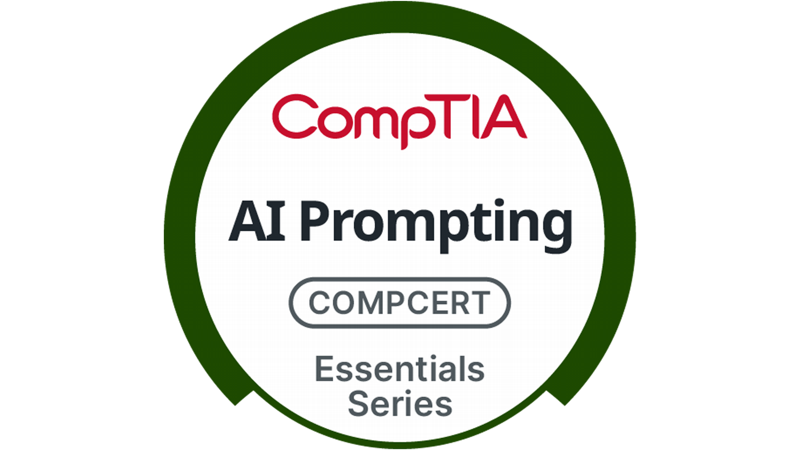 AI Prompting