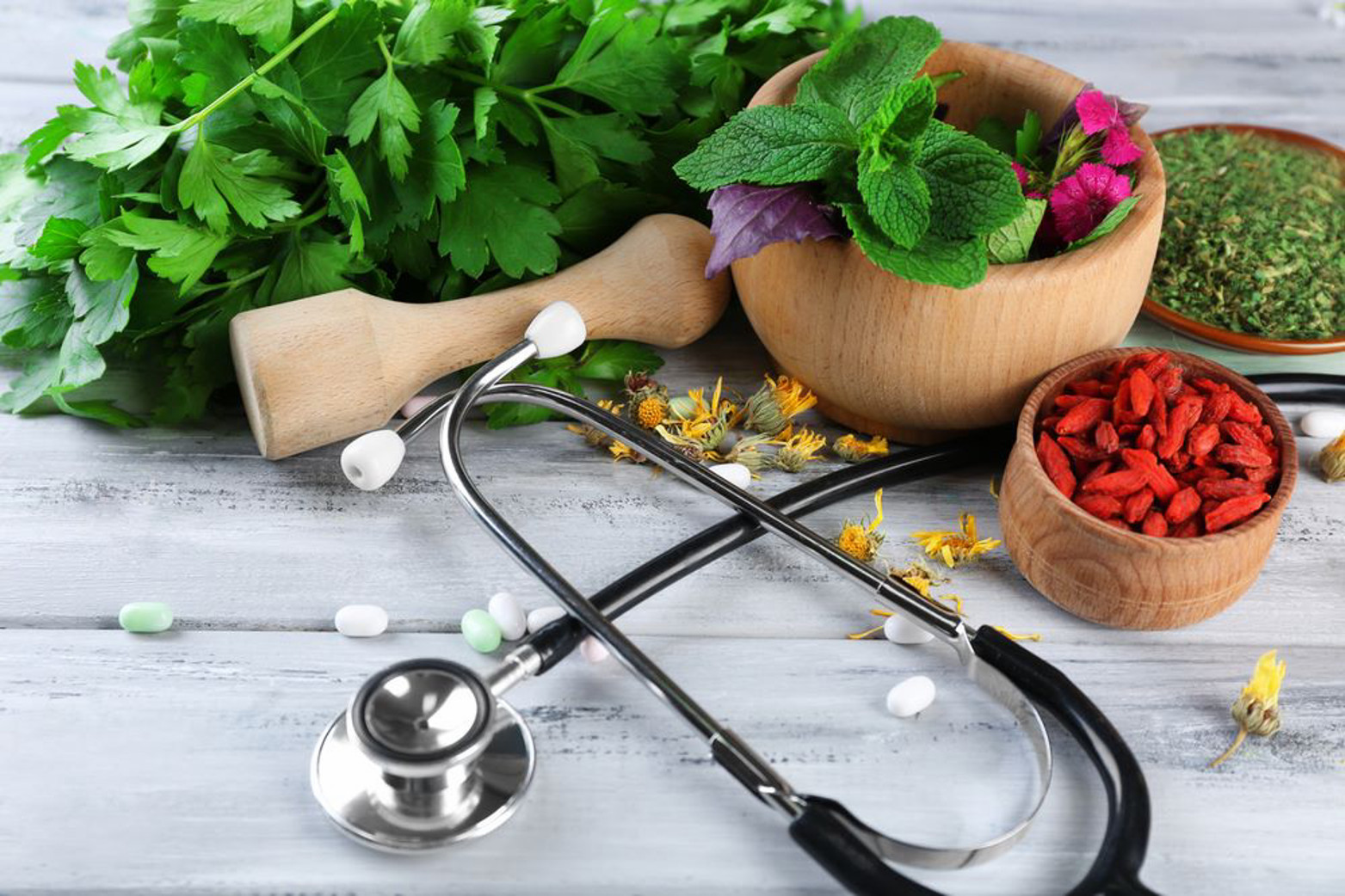 Naturopathic Doctor Curriculum