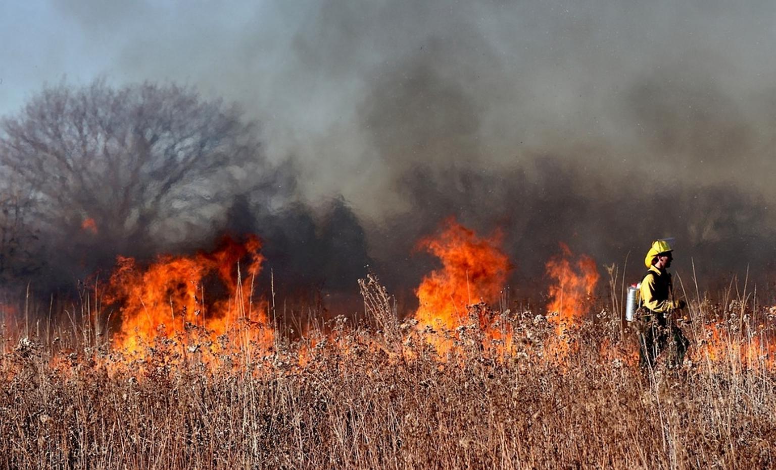 National Wildfire Training