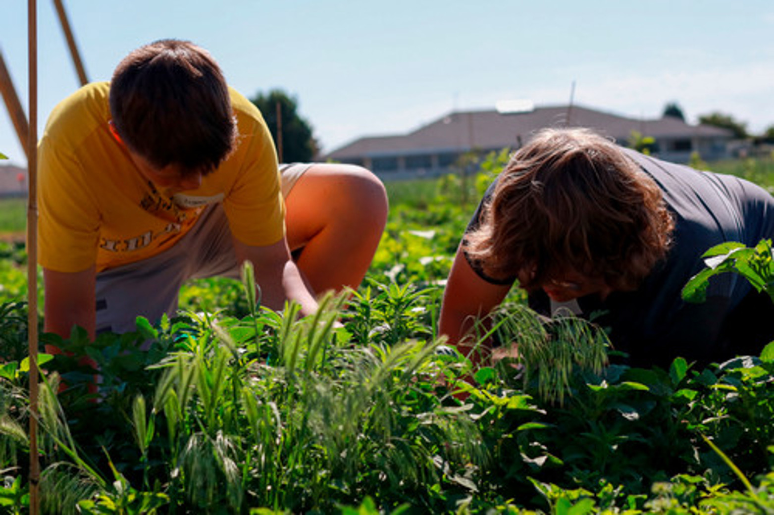 What Will Your Student Experience?