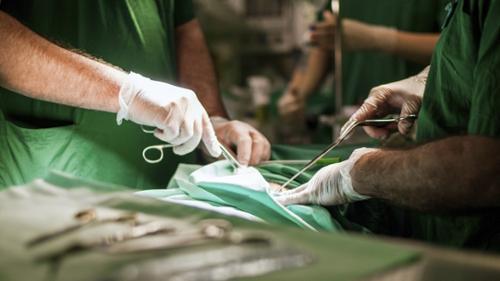 This photo contains a group of hands, each one is gloved and holding various surgical equipment. Below them is a green cloth that has a body underneath it.  